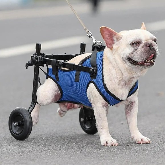 1pcs Pet Wheelchair Cart Adjustable Pet Dog Rehabilitation Wheels